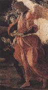Sandro Botticelli Trinity with Mary Magdalene,St john the Baptist,Tobias  and the Angel (mk36) oil painting artist